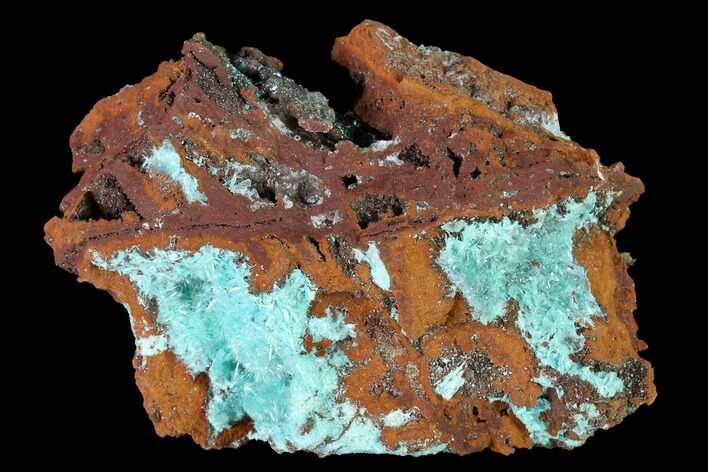Fibrous Aurichalcite Crystal Aggregation - Mexico #144577